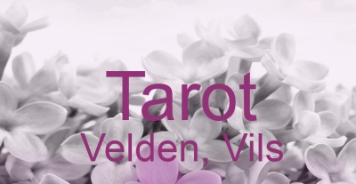 Tarot Velden, Vils | Top-Experten für Kartenlegen, Wahrsagen, Hellsehen, Zukunftsdeutung.